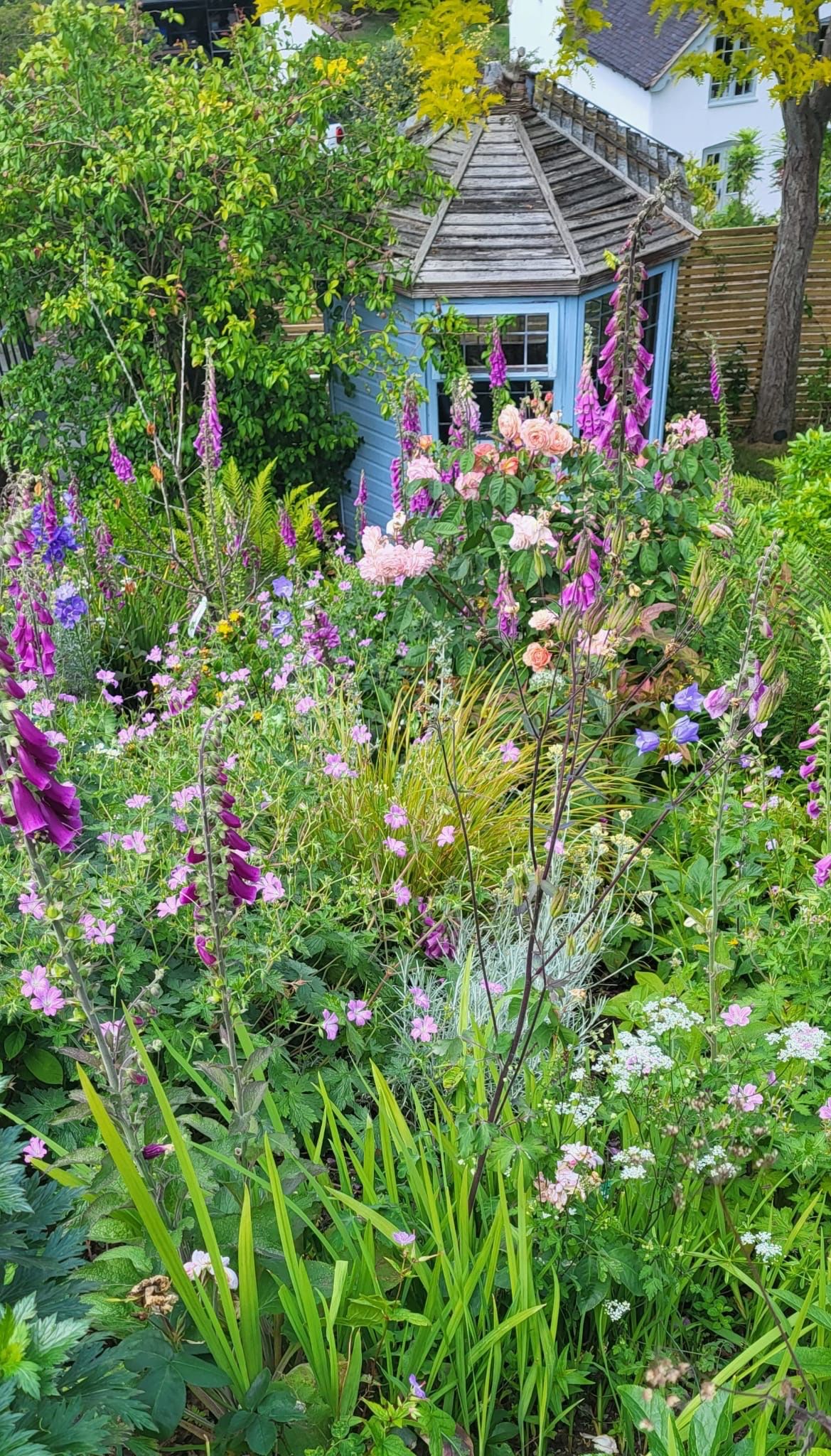 Kinver & District Horticultural Society